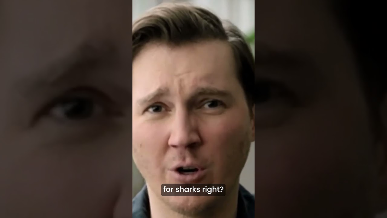 Dumb Money chronicles how the GameStop saga made big investors take small traders seriously...