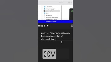 Mac: Get Full Path to File from Finder | Keyboard #shorts