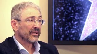 Почему промышленное производство полипренолов есть только в Сибири?