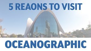 5 Reasons why you should visit Oceanographic in Valencia, Spain