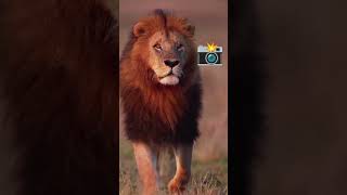 My All Friends Cantnu Tha Vedio