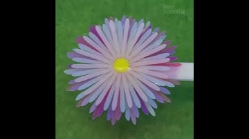 4D printing is now easier than ever