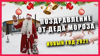Поздравление от Деда Мороза | В гостях у Свиноводов | 🔥  Новый Год 2021 | ИТОГИ 2020 ГОДА