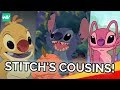 The History of All of Stitch's Cousins!: Discovering Disney