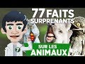 77 faits surprenants sur les animaux