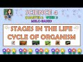 Life Cycle of Organisms Quiz