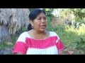 Потомки майя. Изготовление жвачки (Такая разная планета Земля. Фильм 2)