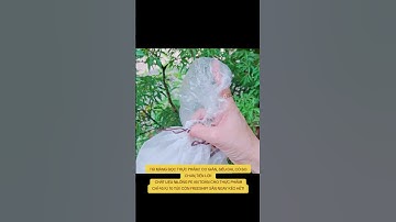 ☘️☘️☘️MÀNG BỌC THỰC PHẨM SIÊU TIỆN LỢI! TỪ NHỰA PE AN TOÀN! MUA Ở TIKTOK TÌM hoaphuong99.1 nha!❤️