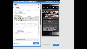 Using the WYSIWYG Editor