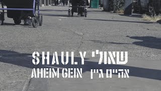 Shauly - Aheim Gein | שאולי - אהיים גיין - ft. Moishe’le