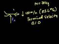 Skydiving Physics Concepts