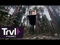 Stay in a Treehouse Hotel in Sweden | Travel Channel