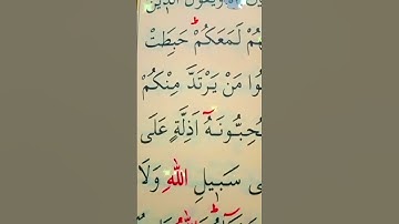 سورة المائدة الأية 53 إلى 54 القارئ سعد الغامدي