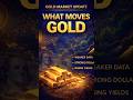 What Moves Gold? Interest Rates, Dollar & Macro Data