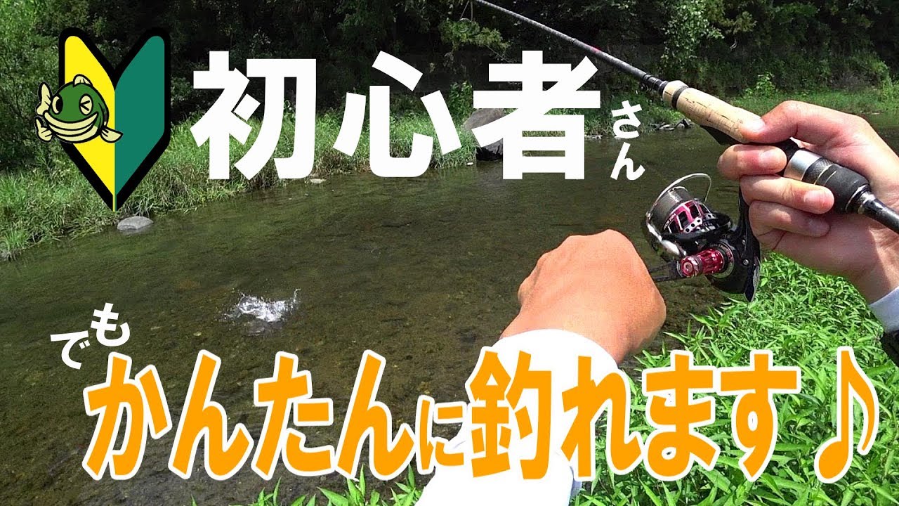 トップ100釣り 初心者 川 すべての魚の画像