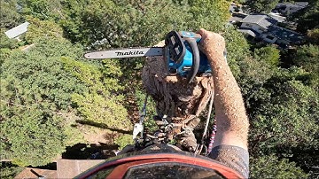 Makita Top Handle Chainsaw