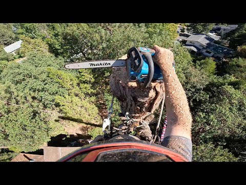Makita Top Handle