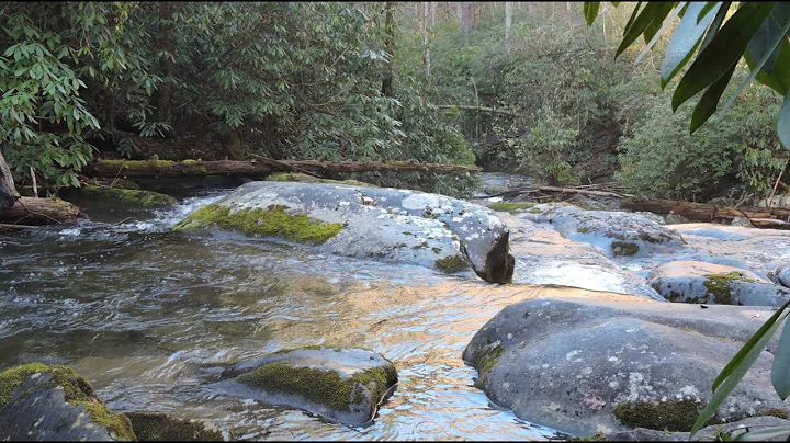 "The River" by Gary Mitchell