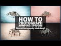 How to Photograph Jumping Spiders - Macro Photography Made Easy!