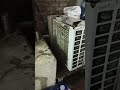 Live highlight
