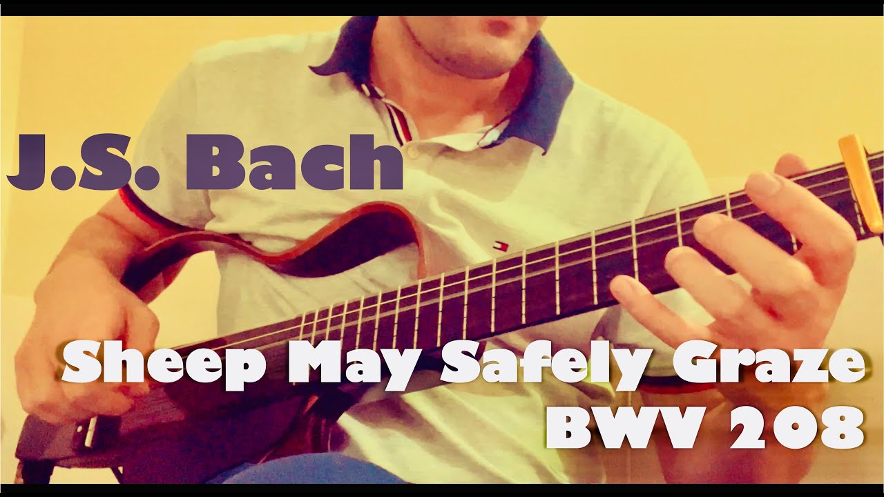 Sheep May Safely Graze | Bach BWV 208 Guitar - YouTube