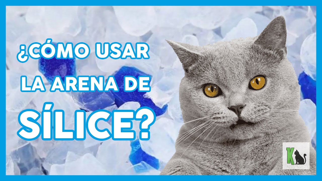 Cómo se usa la arena de silice para gatos 💎 - YouTube