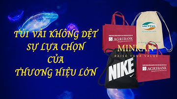 Túi Vải Không Dệt Sự Lựa Chọn Hàng Đầu Của Các Thương Hiệu Lớn I #Minkan #Tuivaiminkan