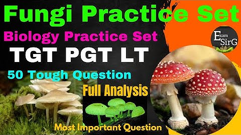 Fungi Practice Question | Questions on Fungi | Fungi Mcqs