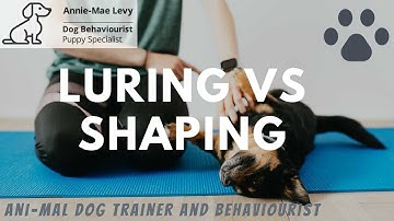 Luring VS Shaping