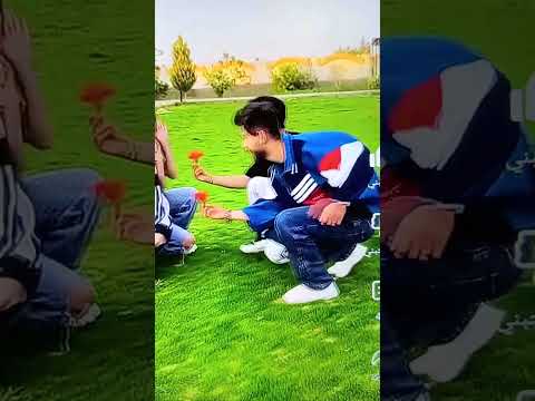 تيك توك غازي و شهد و مصطفى و دولت