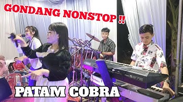 GONDANG NONSTOP PATAM COBRA