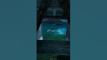 من_اجمل_التلاوات_في_العالم___بصوت_القارئ_(محمد_اللحيدان) #القرآن_الكريم___#راحة_نفسية /