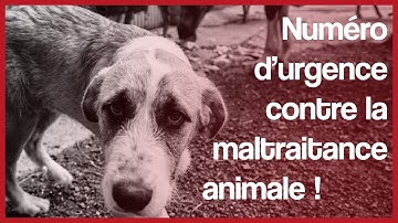 Pétition : Pour la création d