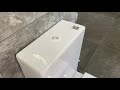 Sanita luxe touchless flush system