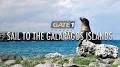 Video for Gate 1 Travel Galapagos reviews