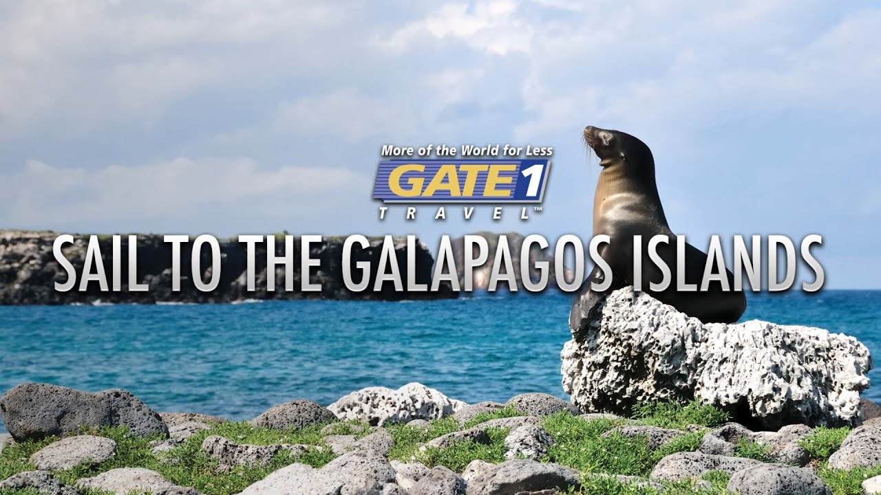 gate 1 travel galapagos reviews