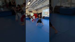 3 Green Belts, 1 Form Tang Soo Do Pyong Ahn Oh Dan