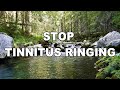 Stop Tinnitus Ringing in Ears, Ambient River Noise for Tinnitus Cure