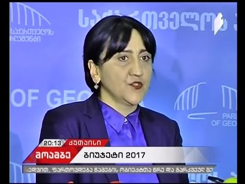 2017 წლის გაზრდილი ბიუჯეტი და ოპონენტების ძირითადი შენიშვნები