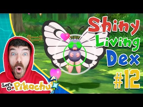 WILD SHINY BUTTERFREE