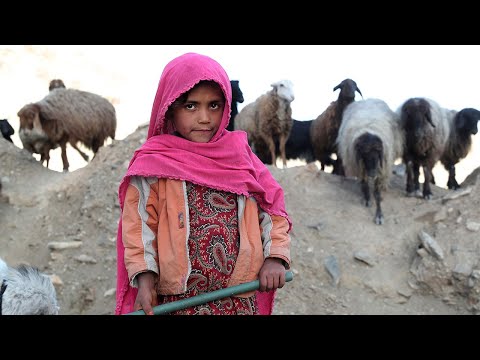 Video: Evaluering Af Brugen Af lokalt Baserede Sundhedsfacilitetsvurderinger I Afghanistan: En Pilotundersøgelse Af En Ny Forskningsmetode