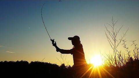 CHỌN CẦN LURE LOẠI NÀO? • Kinh Nghiệm Câu Lure - P3