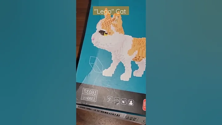 Temu"Lego Cat" inside box!