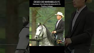 DESEO DE MARABELES 2010 EDUARD GARCIA 2010 #shortsvideo