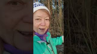 бег осознанность этапы