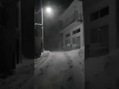 Κακοκαιρία «Μήδεια»: Σαρώνει την Εύβοια - Πυκνή χιονόπτωση αυτή την ώρα στο Τραχήλι