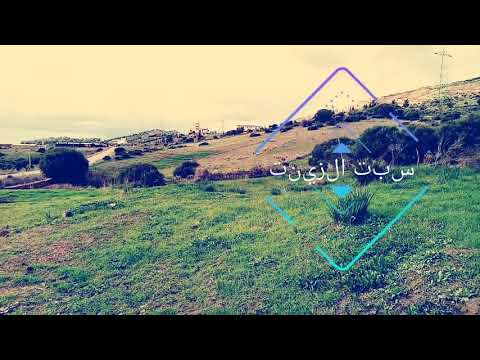 سبت الزيت