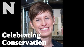 Sustainable Environmental Management Research at the IPI: Past, Present, and Future