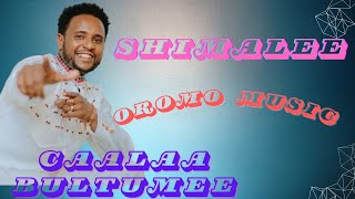 Caalaa Bultumee - Shimalee | Oromo Music