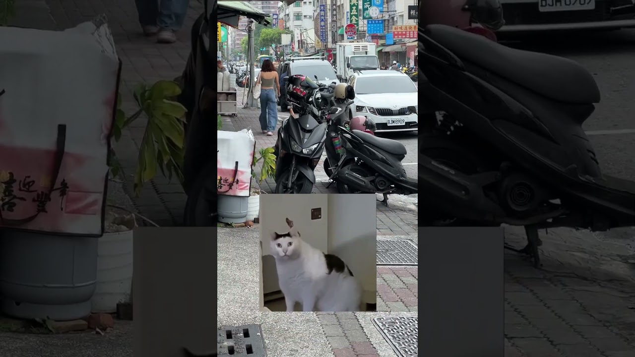 Huh?人行道?還是機車停車位?#taiwan #traffic #taiwantraffic #道路平權 #道路設計不良 #道路規劃 #行人地獄 #台灣人行道 #台灣交通 縮圖